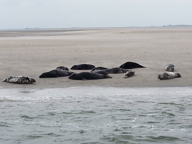 HWK Texel 124.jpg